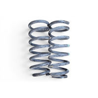 2005-2008 Acura RL Rear Suspension Coil Spring Left/Right Side Set 52441-SJA-A11, F047, OEM, 2005, 2006, 2007, 2008