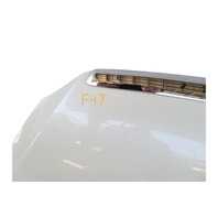 2005-2006 Acura RL Hood Bonnet Engine White 60100-SJA-A91ZZ, F047, OEM, 2005, 2006