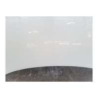 2005-2006 Acura RL Hood Bonnet Engine White 60100-SJA-A91ZZ, F047, OEM, 2005, 2006