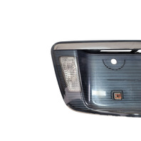 2007-2008 Acura TL Type-S Trunk license Plate Lamp Finish Reflector Panel Garnish 34511-SEP-A21, F049, OEM, 2007, 2008