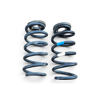 2011-2017 Lexus CT200h Rear Coil Spring Left Right Pair, 48231-76020, F051, OEM, 2011, 2012, 2013, 2014, 2015, 2016, 2017