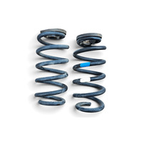 2011-2017 Lexus CT200h Rear Coil Spring Left Right Pair, 48231-76020, F051, OEM, 2011, 2012, 2013, 2014, 2015, 2016, 2017