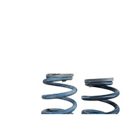 2011-2017 Lexus CT200h Rear Coil Spring Left Right Pair, 48231-76020, F051, OEM, 2011, 2012, 2013, 2014, 2015, 2016, 2017