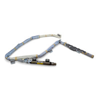 2010-2013 Lexus RX450H Curtain Module Side Right/Passenger Side 62170-0E020, F053, OEM, 2010, 2011, 2012, 2013