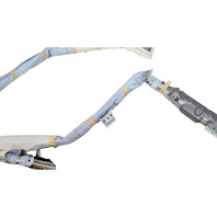 2010-2013 Lexus RX450H Curtain Module Side Right/Passenger Side 62170-0E020, F053, OEM, 2010, 2011, 2012, 2013