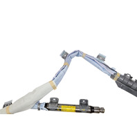 2010-2013 Lexus RX450H Curtain Module Side Left/Driver Side 62180-0E020, F053, OEM, 2010, 2011, 2012, 2013
