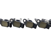 2010-2015 Lexus RX350 RX450h Ignition Coil Set 6PCS, 90919-A2005, F053, OEM, 2010, 2011, 2012, 2013, 2014, 2015