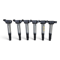 2010-2015 Lexus RX350 RX450h Ignition Coil Set 6PCS, 90919-A2005, F053, OEM, 2010, 2011, 2012, 2013, 2014, 2015
