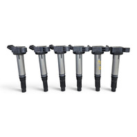 2010-2015 Lexus RX350 RX450h Ignition Coil Set 6PCS, 90919-A2005, F053, OEM, 2010, 2011, 2012, 2013, 2014, 2015