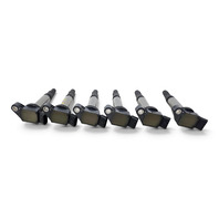 2010-2015 Lexus RX350 RX450h Ignition Coil Set 6PCS, 90919-A2005, F053, OEM, 2010, 2011, 2012, 2013, 2014, 2015