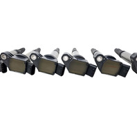 2010-2015 Lexus RX350 RX450h Ignition Coil Set 6PCS, 90919-A2005, F053, OEM, 2010, 2011, 2012, 2013, 2014, 2015