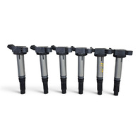 2010-2015 Lexus RX350 RX450h Ignition Coil Set 6PCS, 90919-A2005, F053, OEM, 2010, 2011, 2012, 2013, 2014, 2015
