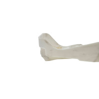 2010-2015 Lexus RX350 RX450h LH Rear Bumper Lower Retainer, 52566-0E020, F053, OEM, 2010, 2011, 2012, 2013, 2014, 2015