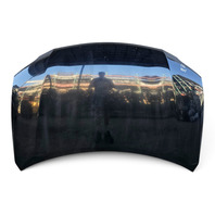 2010-2015 Lexus RX450H Hood Engine Bonnet Black, 53301-48140, F053, OEM, 2010, 2011, 2012, 2013, 2014, 2015