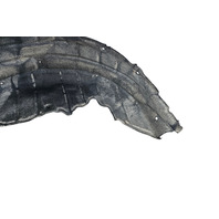 2010-2015 Lexus RX450H Fender Cover Liner, Rear Right/Passenger Wheelhouse 65638-0E010, F053, OEM, 2010, 2011, 2012, 2013, 2014, 2015