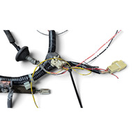 2002-2005 Lexus IS300 Lower Floor Body Wiring Wire Harness, 82161-53232, F054, OEM, 2002, 2003, 2004, 2005