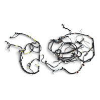 2002-2005 Lexus IS300 Lower Floor Body Wiring Wire Harness, 82161-53232, F054, OEM, 2002, 2003, 2004, 2005