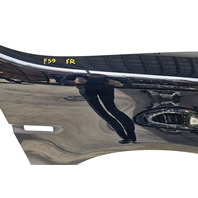 2004-2008 Acura TL Fender Assembly Right/Passenger Side, Black, 04620-SEP-A91ZZ, F059, OEM, 2004, 2005, 2006, 2007, 2008