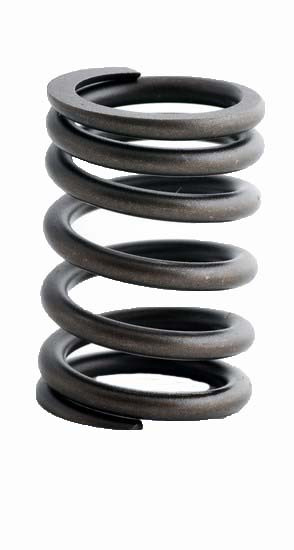 EngineTech Valve Spring Pack of 4