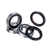 KTM/Yamaha/Fantic Rear Wheel Bearing Kit - Race Series/Rebuild Free Shipping