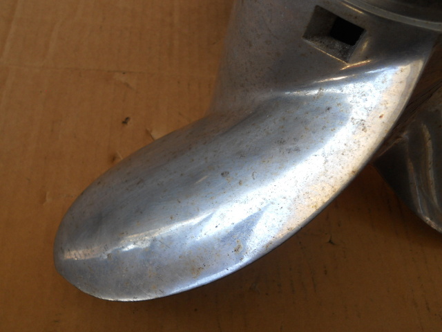 ポポラス　/ 546 sdpe18278-