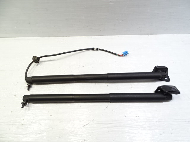 14 Mercedes X166 GL450 lift cylinder set, liftgate, left/right 1669803764 1668901230
