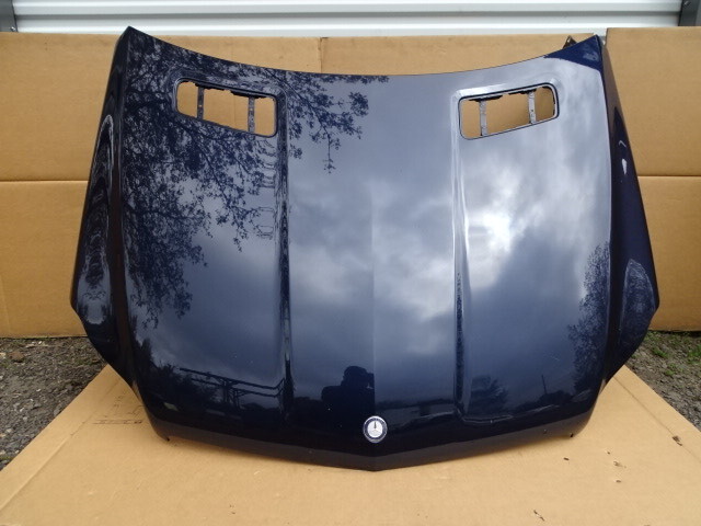 14 Mercedes X166 GL450 hood, 1668800557
