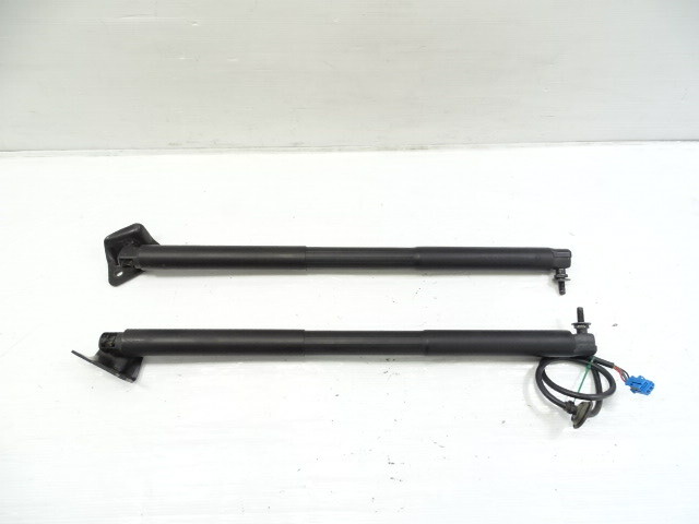 Mercedes X166 GL450 shock set, tailgate liftgate, 1669802264, 1668900530