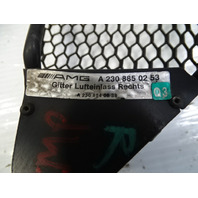 03 Mercedes R230 SL500 mesh grille, right, for front bumper 2308850253