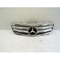 03 Mercedes R230 SL500 grille, with emblem, aftermarket, 03-06