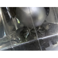 03 Mercedes R230 SL500 lamp, foglight, right, 2038201256, non amg