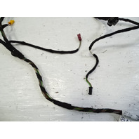 12 Mercedes W204 C63 wiring harness, door, left front, 2044409033