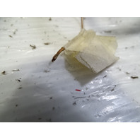 87 Porsche 928 S4 wiring harness hatch lid, 92861200504