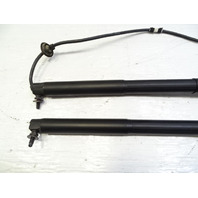 14 Mercedes X166 GL450 lift cylinder set, liftgate, left/right 1669803764 1668901230
