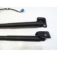 14 Mercedes X166 GL450 lift cylinder set, liftgate, left/right 1669803764 1668901230