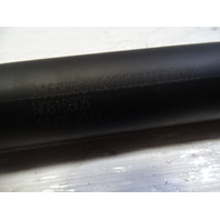 14 Mercedes X166 GL450 lift cylinder set, liftgate, left/right 1669803764 1668901230