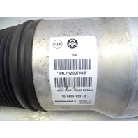 14 Mercedes W222 S550 shock absorber, strut, right rear 2223200413