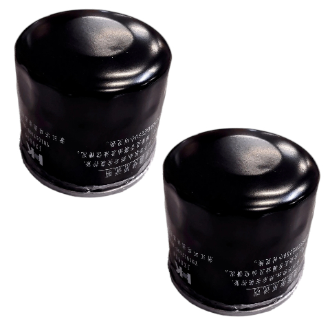 Motorcycle Oil Filter TC09-113-05922 ZS462 HF204 for CSC RE3 SG400 RX6 RZ3S