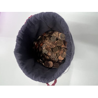$15 8 lbs Zinc Pennies Sack 1982&ndash;2025 Lincoln Memorial & Shield Cent