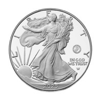 2025 American Eagle Silver Proof Coin - U.S. Marines 250th Anniversary - On Hand