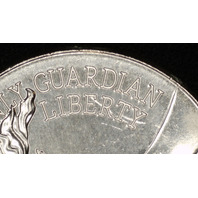 2026 P Enduring Liberty Half Dollar BU Uncirculated Mint Die Clash Error W/Bonus Coin