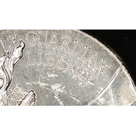 2026 P Enduring Liberty Half Dollar BU Uncirculated Mint Die Clash Error W/Bonus Coin