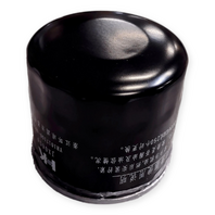 Motorcycle Oil Filter TC09-113-05922 ZS462 HF204 for CSC RE3 SG400 RX6 RZ3S