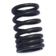 Outer Valve Spring for CSC TT250 SG250 250cc