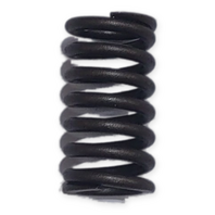 Inner Valve Spring for CSC TT250 SG250 250cc