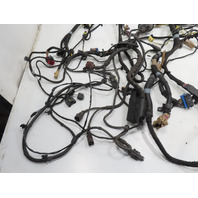 06 Lamborghini Gallardo #1310 Wire, Wiring Main Body Harness & Plug Loom 408971135A