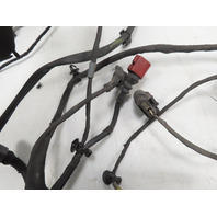 06 Lamborghini Gallardo #1310 Wire, Wiring Main Body Harness & Plug Loom 408971135A
