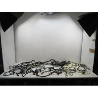 06 Lamborghini Gallardo #1310 Wire, Wiring Main Body Harness & Plug Loom 408971135A