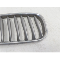 06 BMW Z4 E85 #1334 Grill, Front Bumper Kidney, Right Passenger OEM