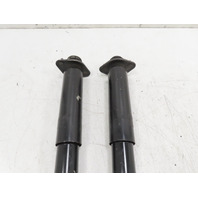 1988 BMW 325i E30 #1336 Shock Strut Pair Rear Raceland Left & Right